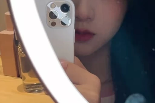 chushizhaopincom网站的 SEO查询结果